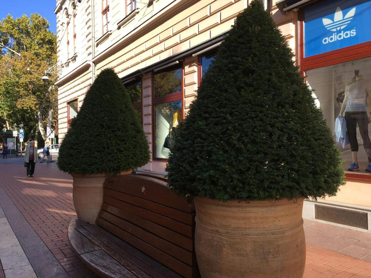 Gutenberg Apartments Segedin Dış mekan fotoğraf